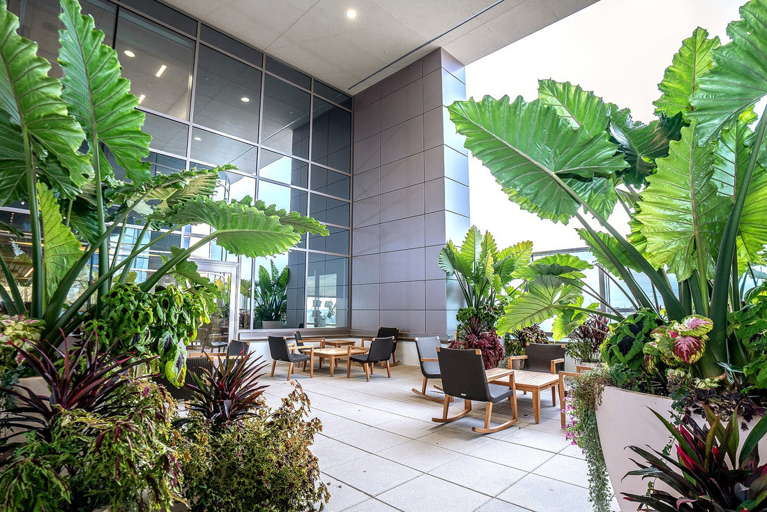 Access to Nature in the Workplace: A Key to Employee Well-being and Productivity