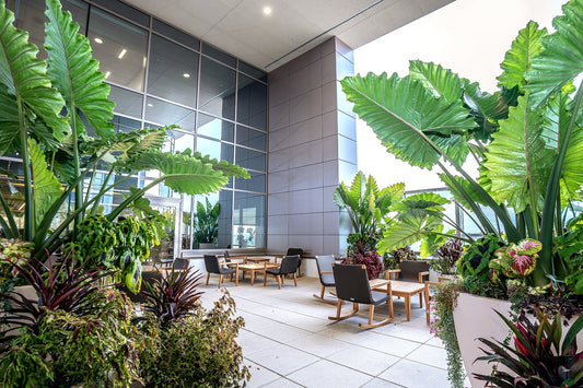 Access to Nature in the Workplace: A Key to Employee Well-being and Productivity