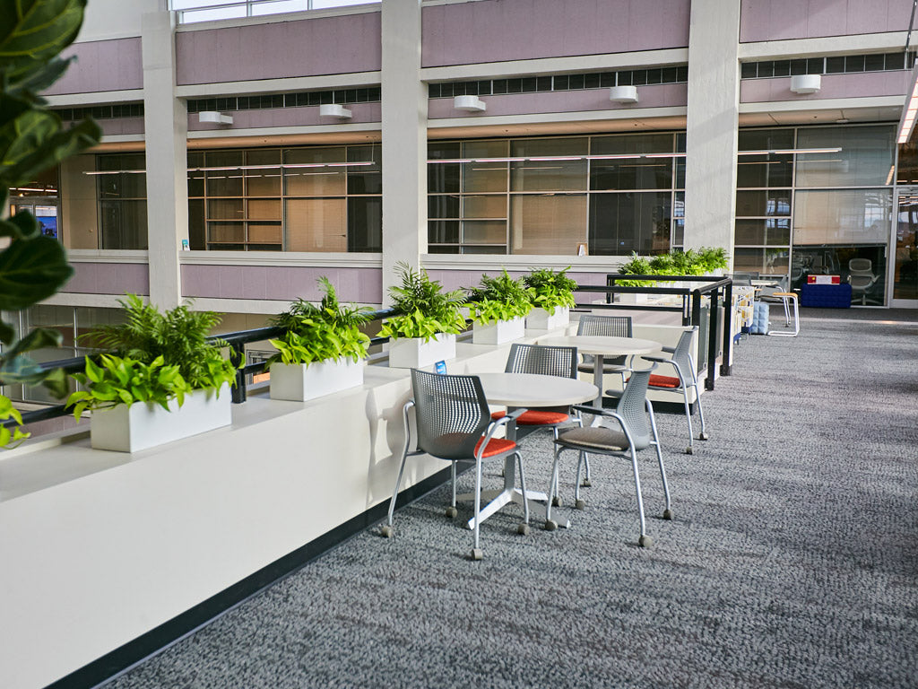 Biophilic Design: Revolutionizing Workspaces with Nature-Inspired Elements