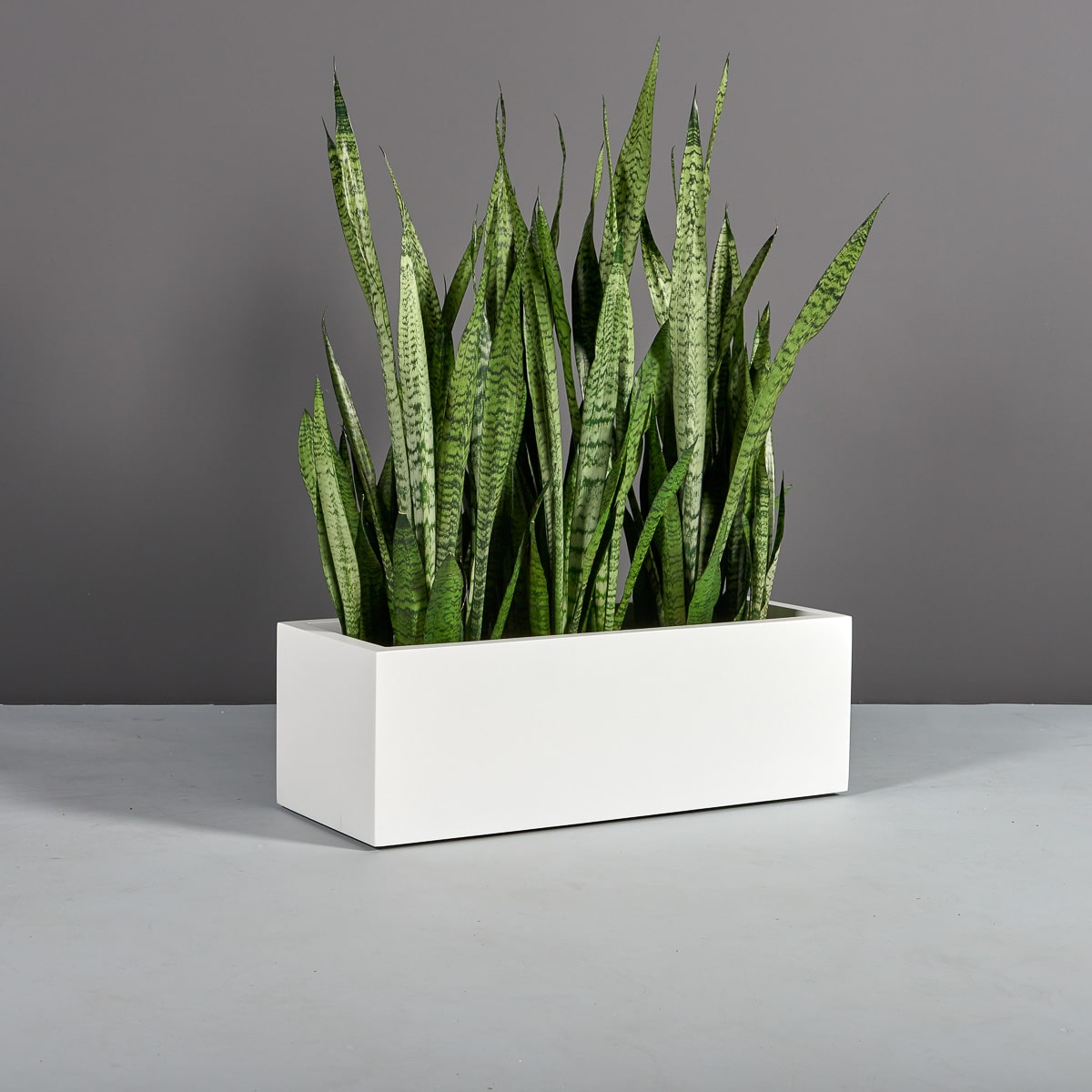 Low Rectangular FRP Planter