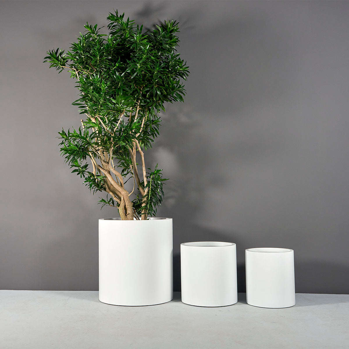 Cylinder Planter