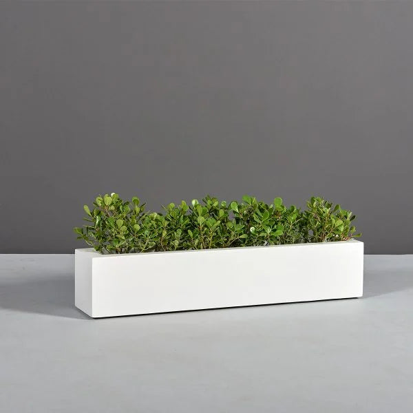 Rectangle Tabletop Planter