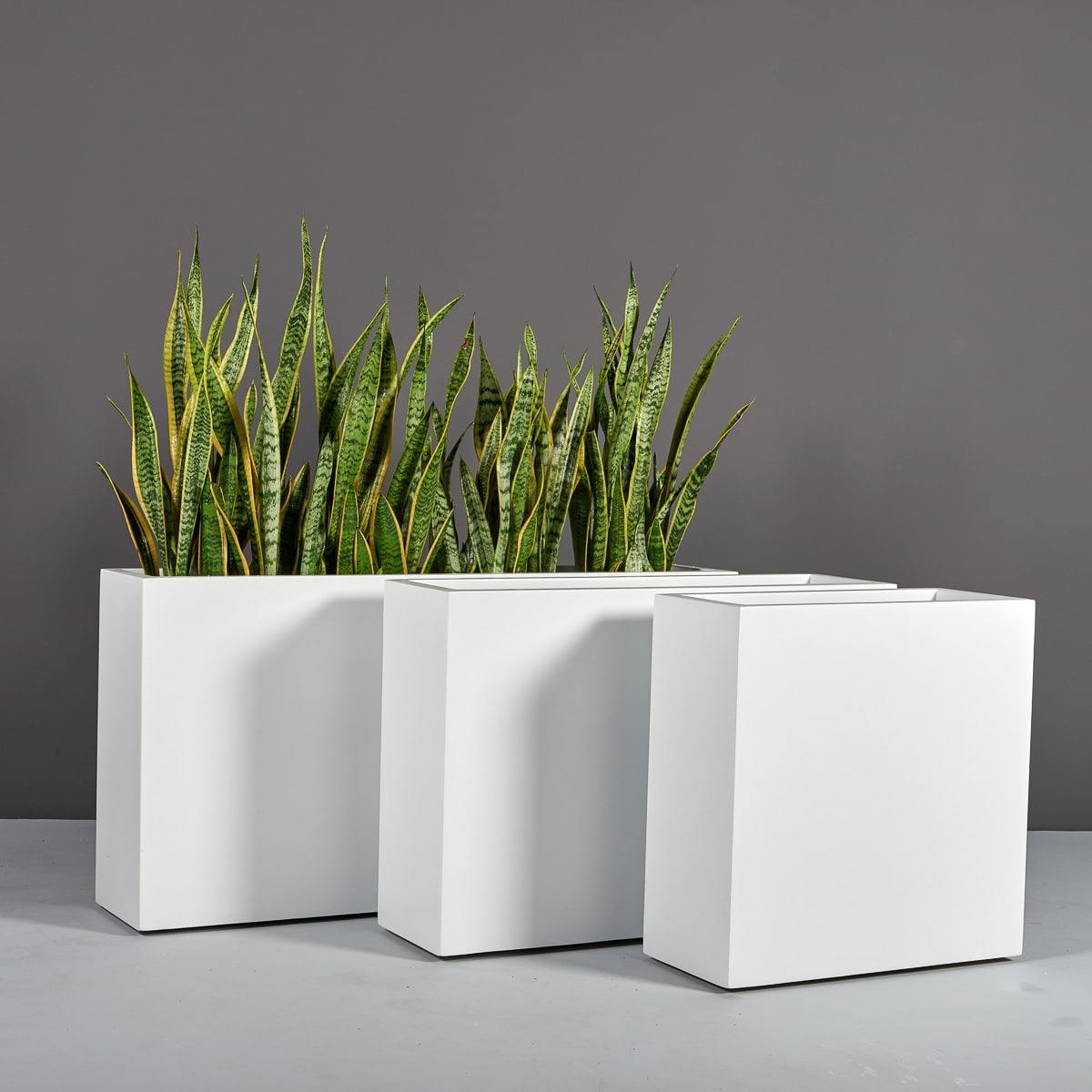 Tall Rectangular Planter (Subscription)