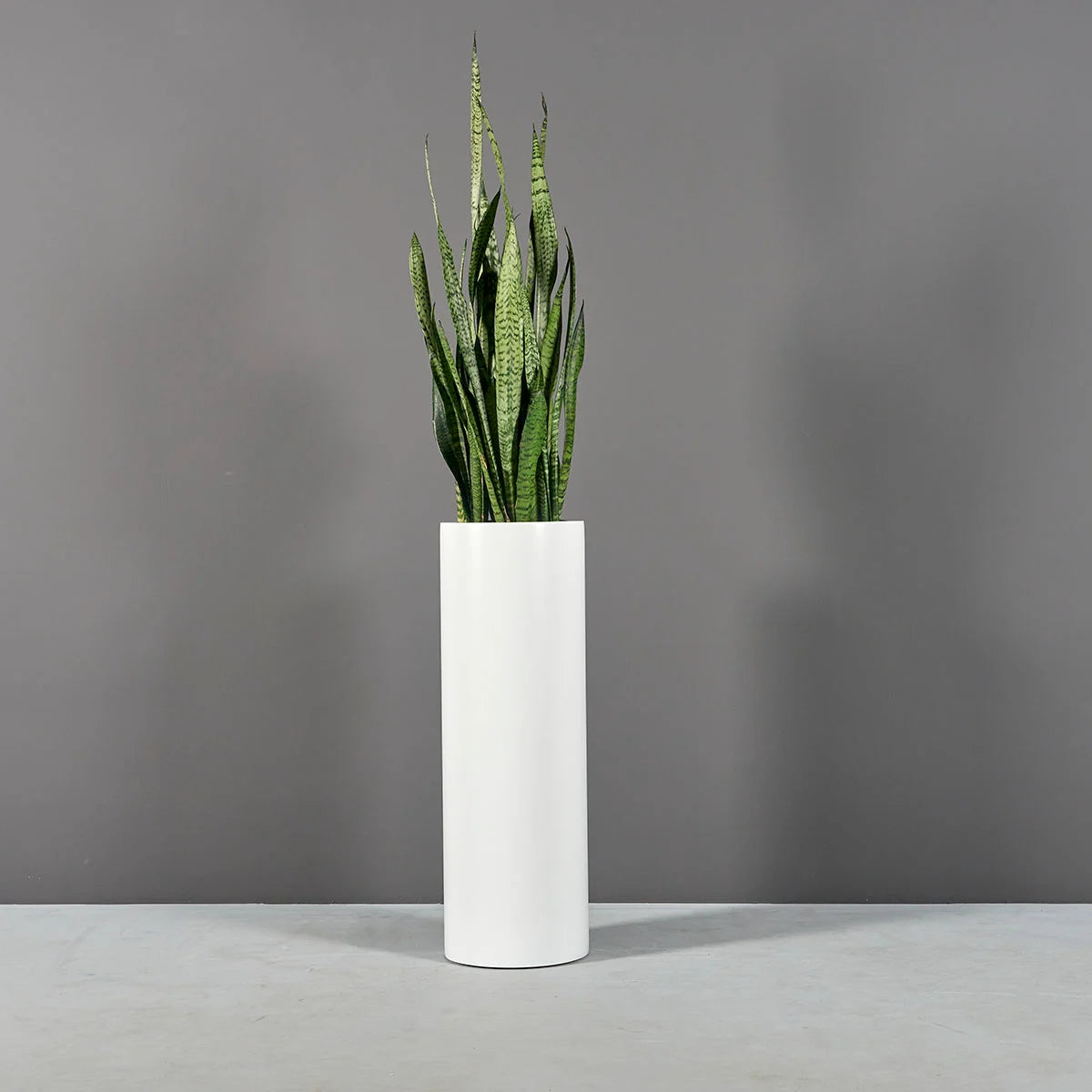 Tall Cylinder Planter
