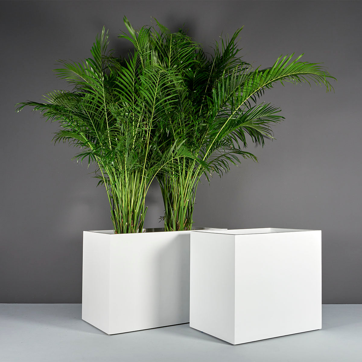 Tall Rectangular Planter (Subscription)