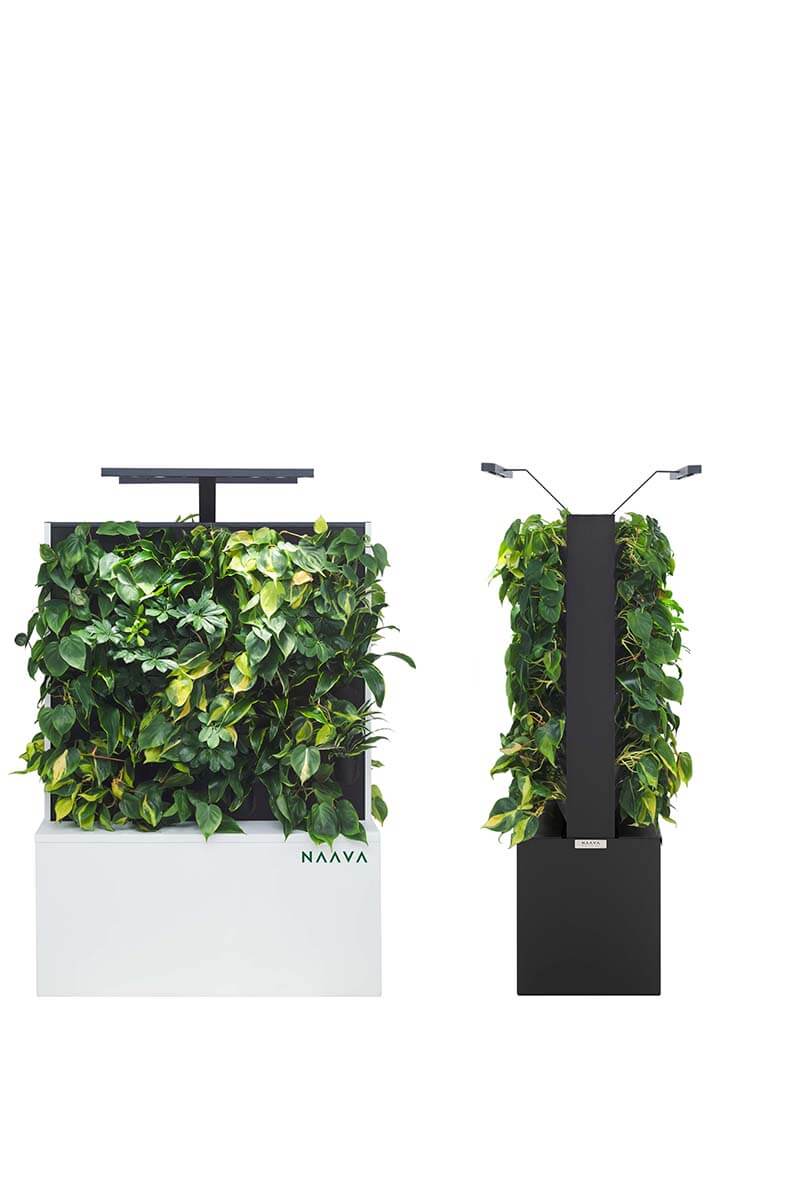 TopPlants Mobile Greenwalls - Space Dividers
