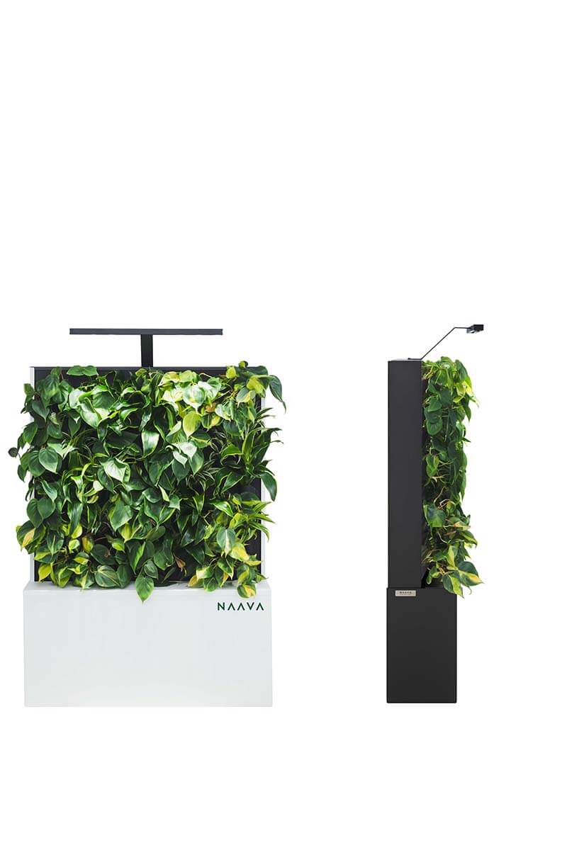 TopPlants Mobile Greenwalls - Space Dividers