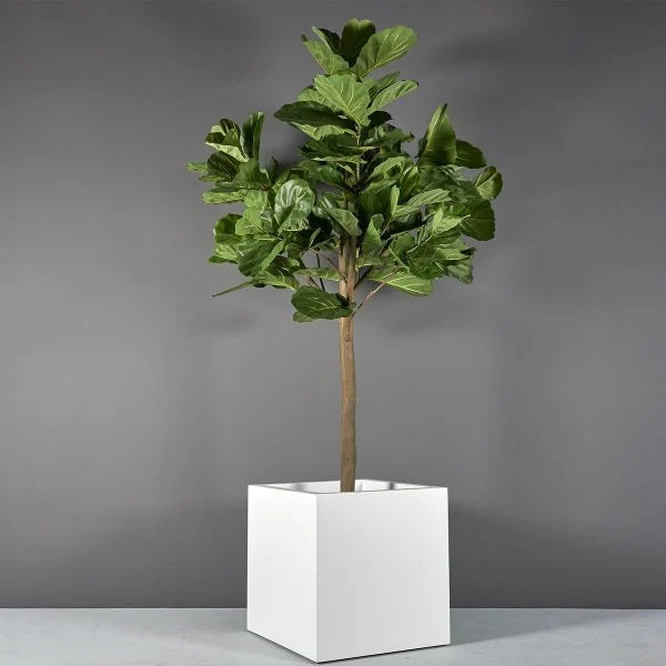 Cube Planter