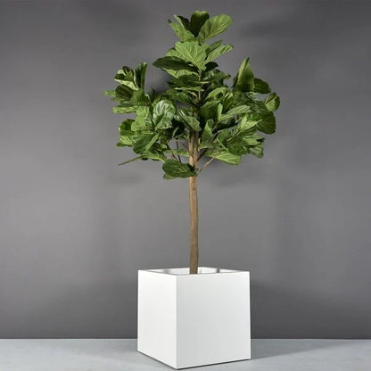 Cube Planter