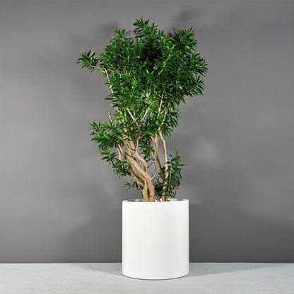 Cylinder Planter