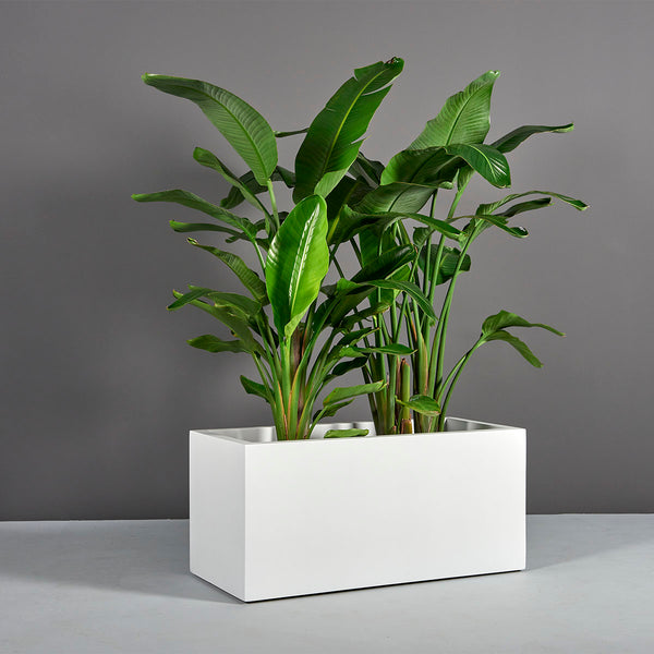 Rectangular Planter – Topplants by Terrascape