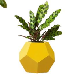 6" Desk Planter – Modern Ceramic Pot for Small Plants