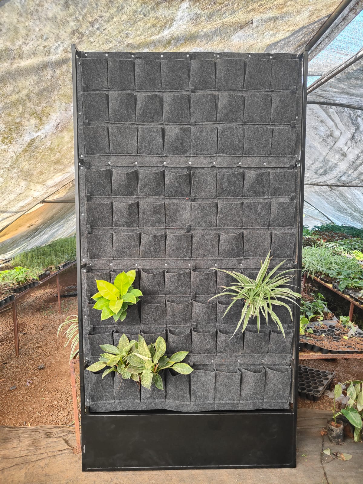 Wonderfelt Mobile Greenwall