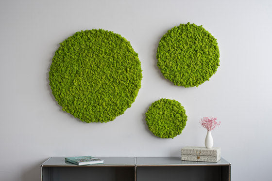 Moss Circle