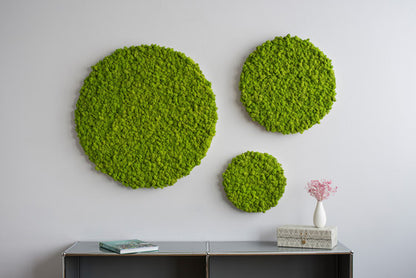 Moss Circle