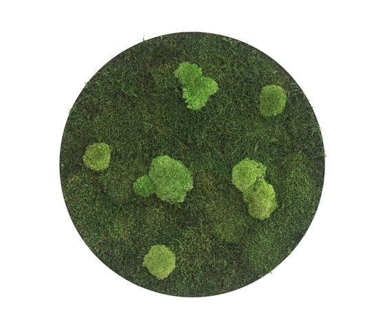 Moss Circle