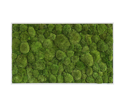 Moss Frames