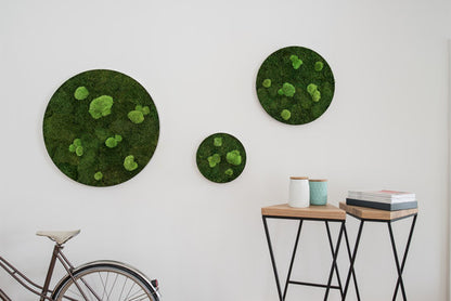 Moss Circle