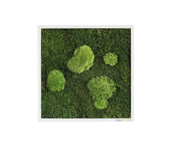 Moss Frames