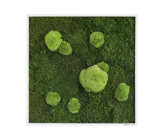 Moss Frames